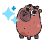 TonCapy icon